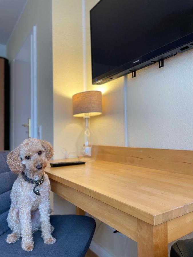 Apartmenthaus Sonnen Düsseldorf Dış mekan fotoğraf